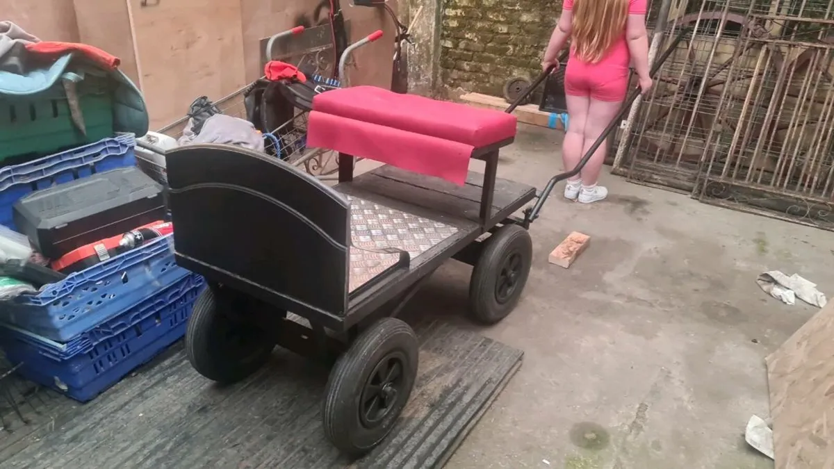 Shetland dray cart an harness - Image 1
