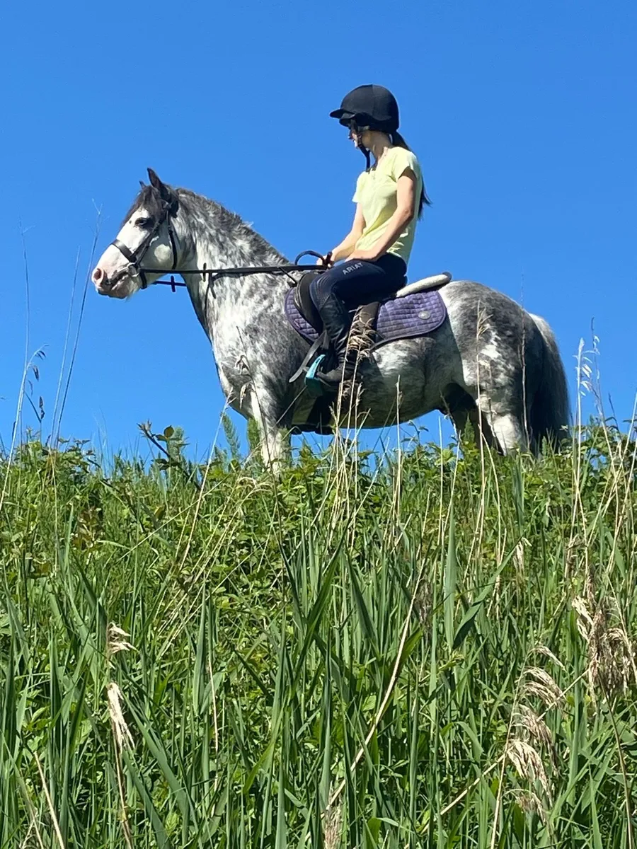 😍APPLEJACK😍RIDE & DRIVE €2350 - Image 1