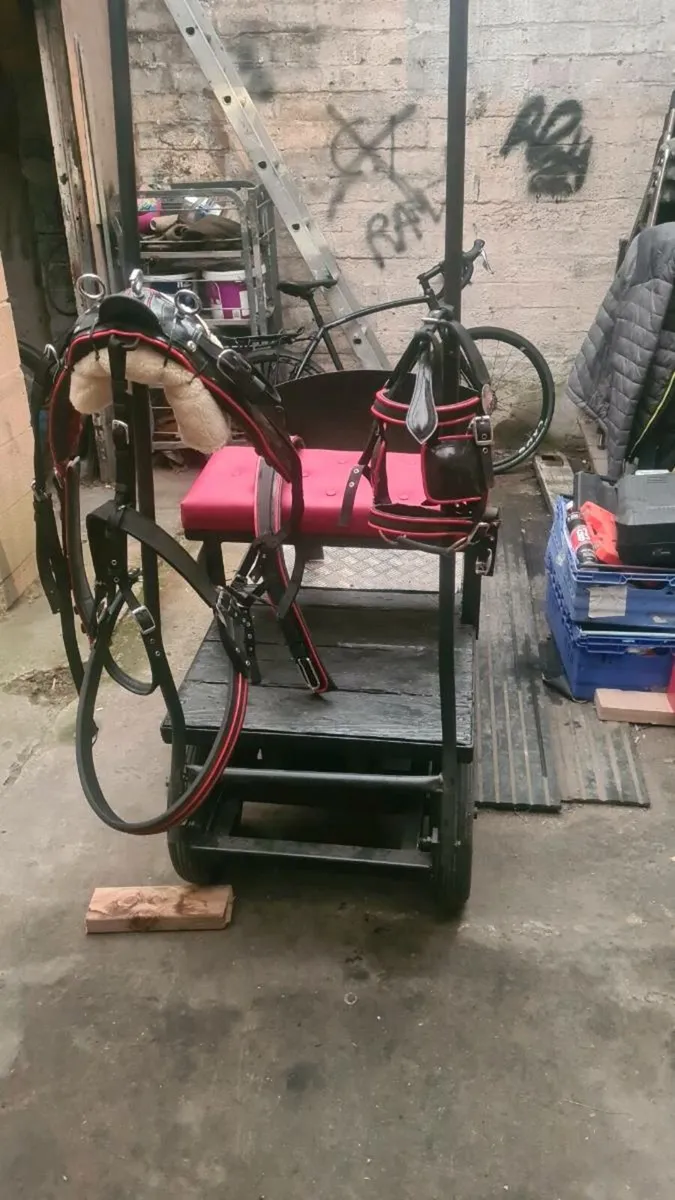 Shetland dray cart an harness - Image 3