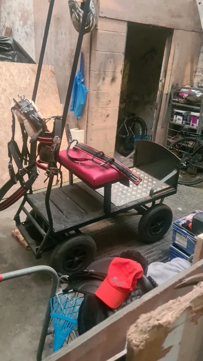 Shetland dray cart an harness - Image 4