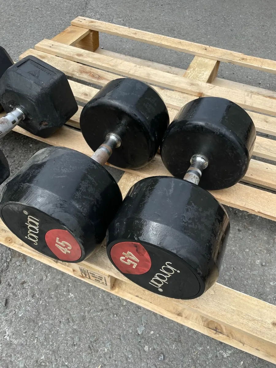 45kg Jordan Dumbbells
