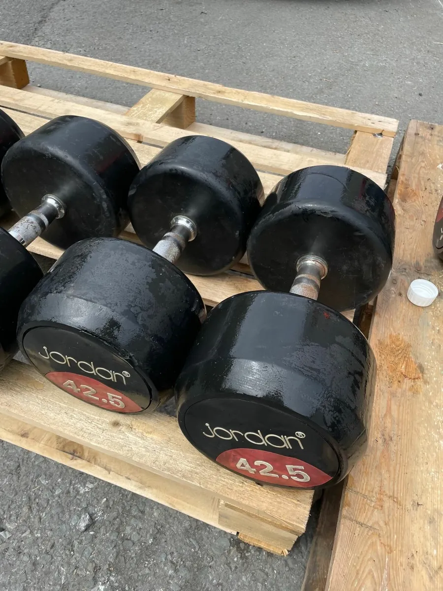 42.5KG Jordan Dumbells