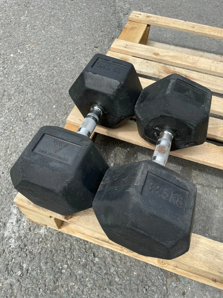 32.5KG Hex Dumbbells