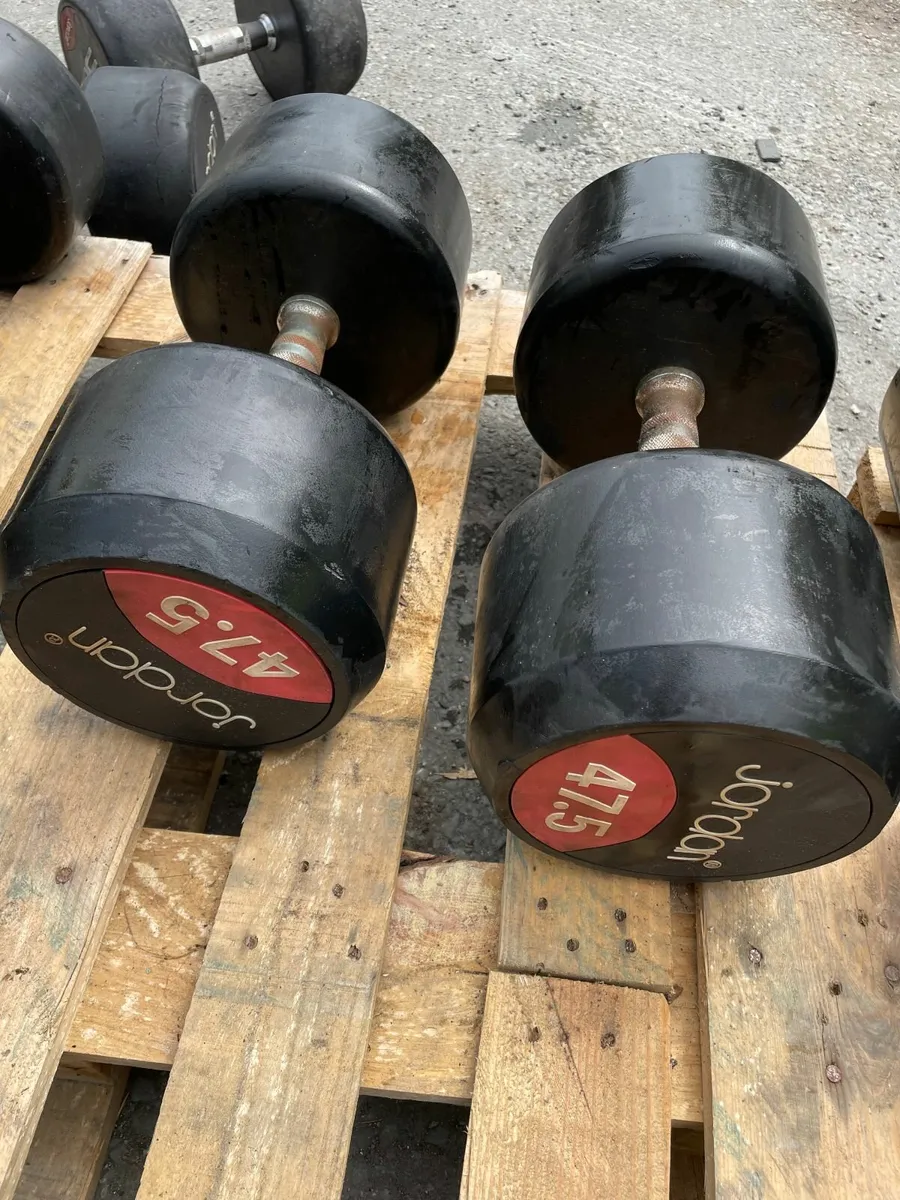 47.5KG Jordan Dumbells