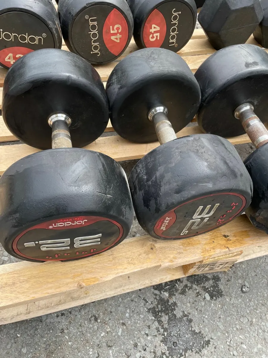 32.5KG Jordan Dumbells