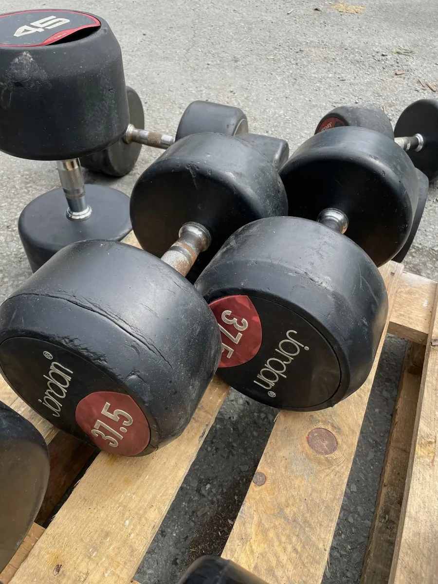 37.5KG Jordan Dumbells