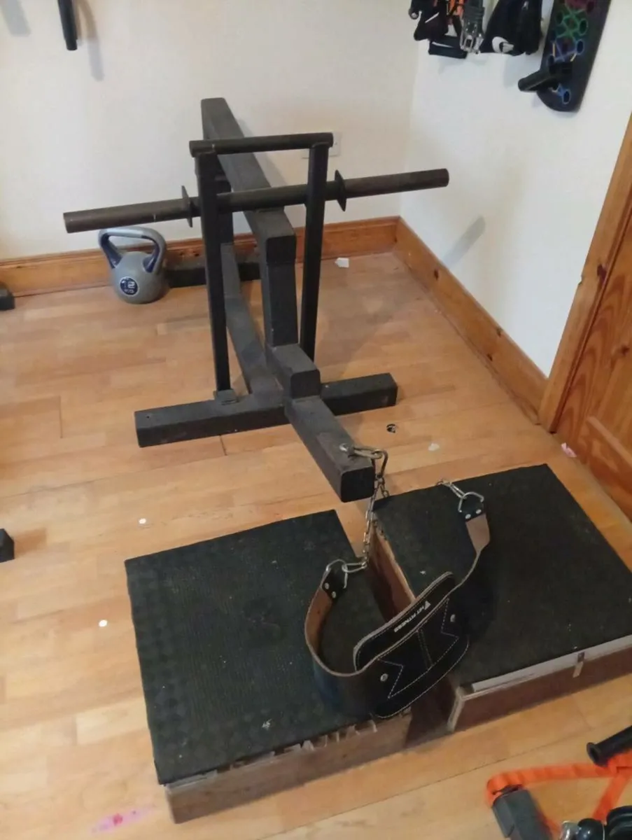 Belt squat