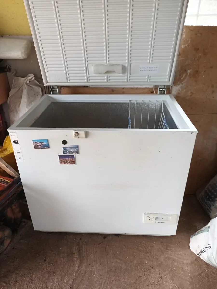 Chest Freezer