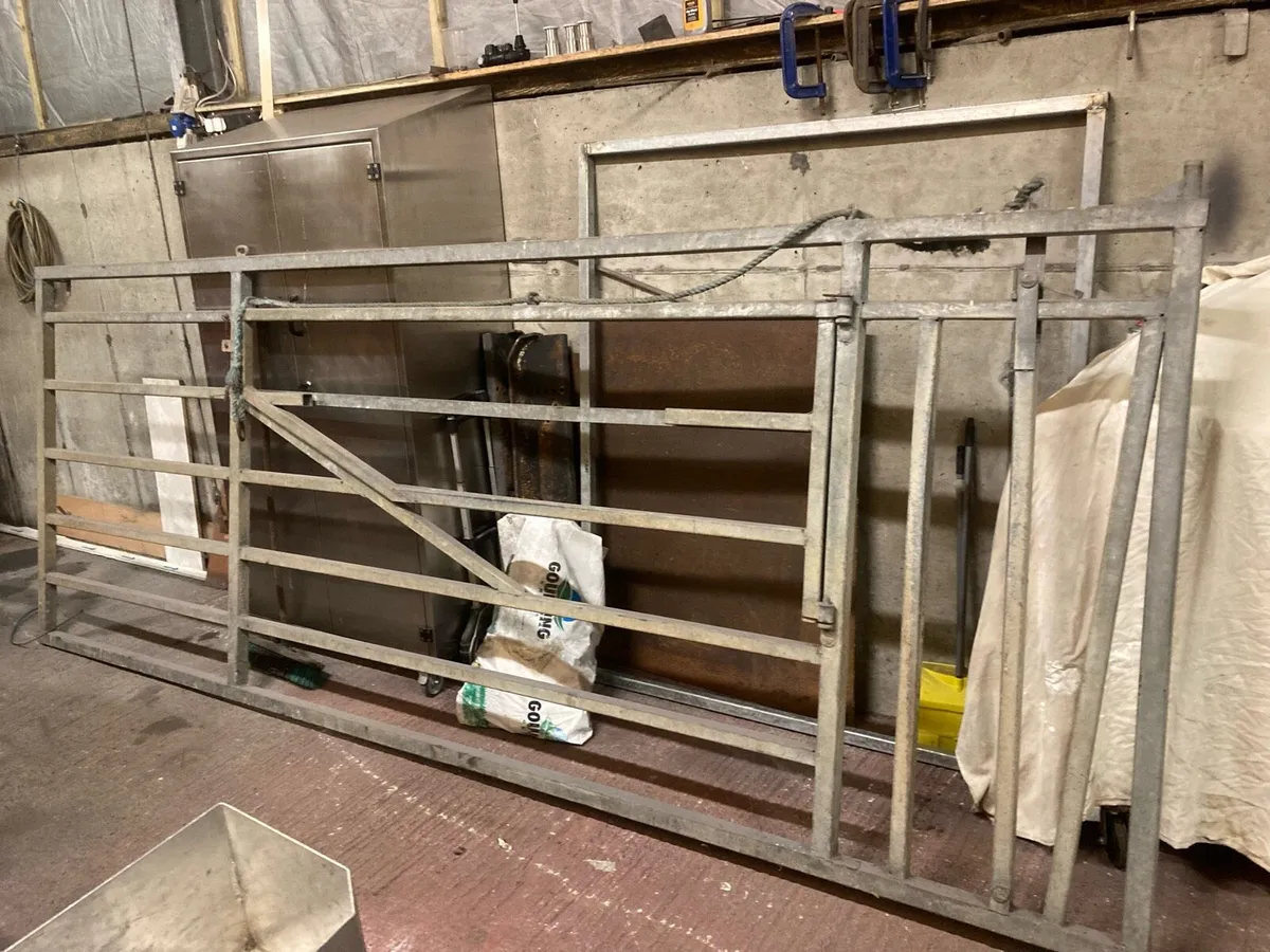 Calving Gate Heavy Duty Galvanised - Image 1