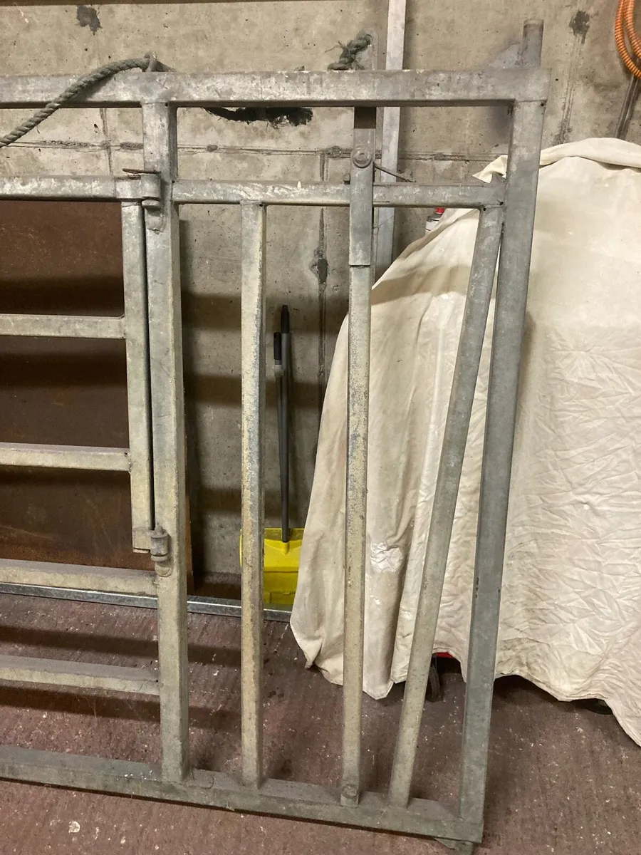 Calving Gate Heavy Duty Galvanised - Image 2
