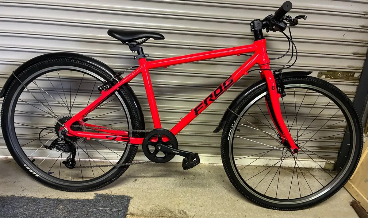 Frog 73 bike - Image 1
