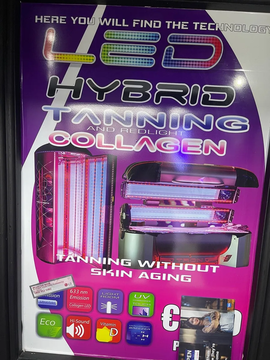 Sun bed - Image 1