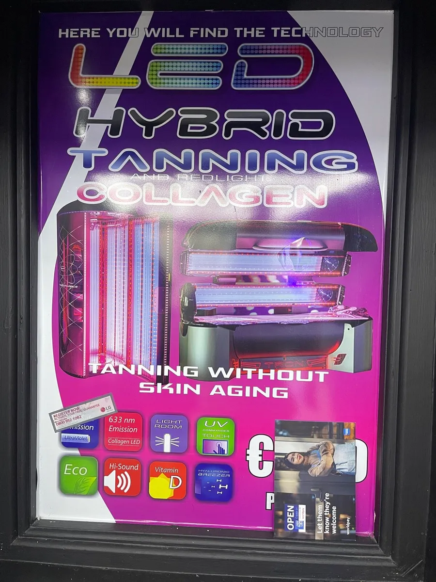 Sun bed - Image 2