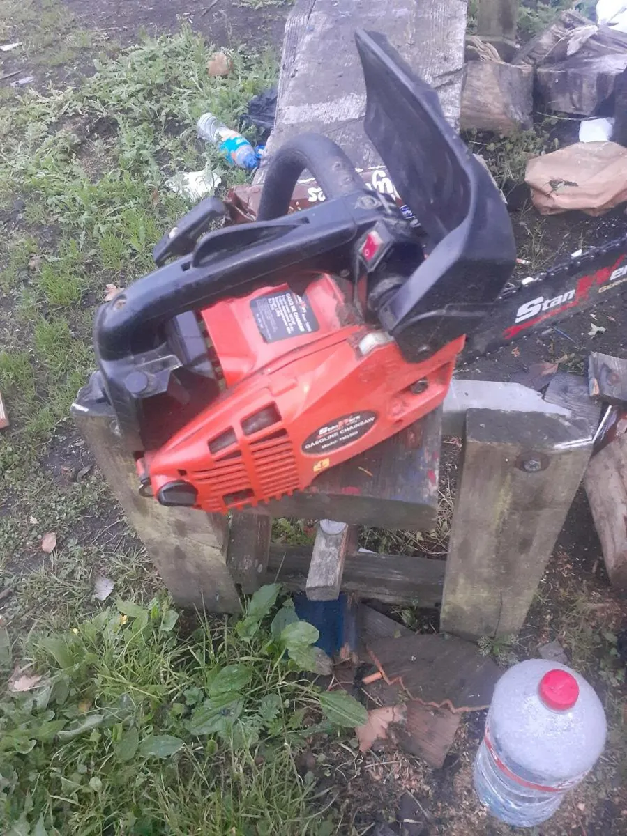 Chainsaw - Image 1