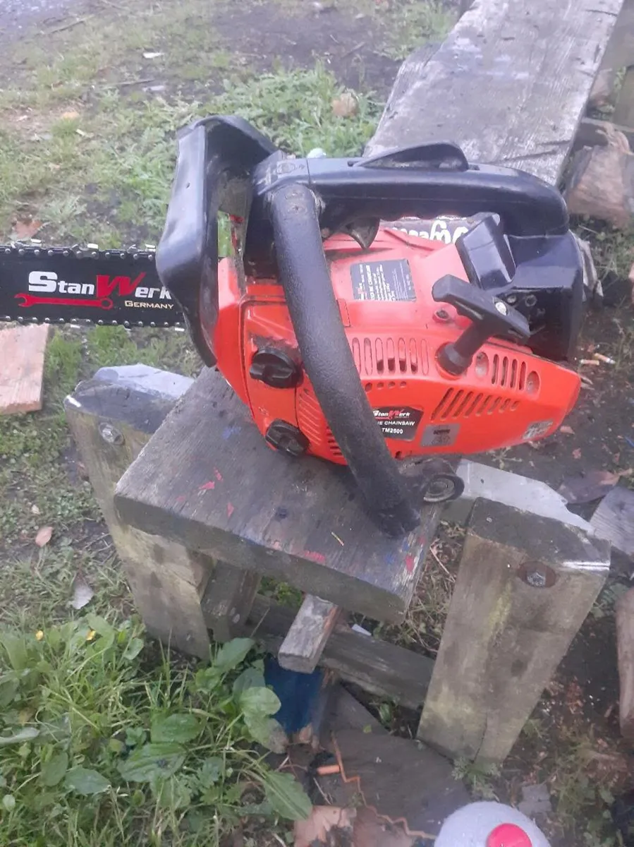 Chainsaw - Image 2