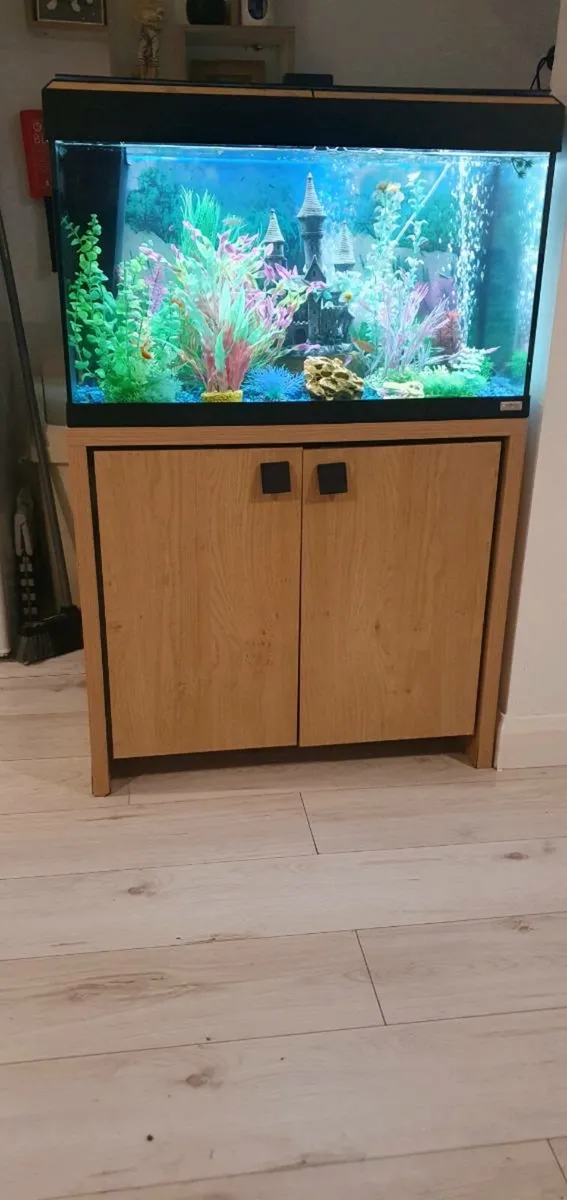 Fish aquarium with cabinet, Al pumps heater,plants - Image 1