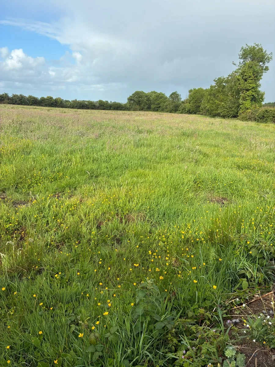 Silage Ground Meadows - Image 1