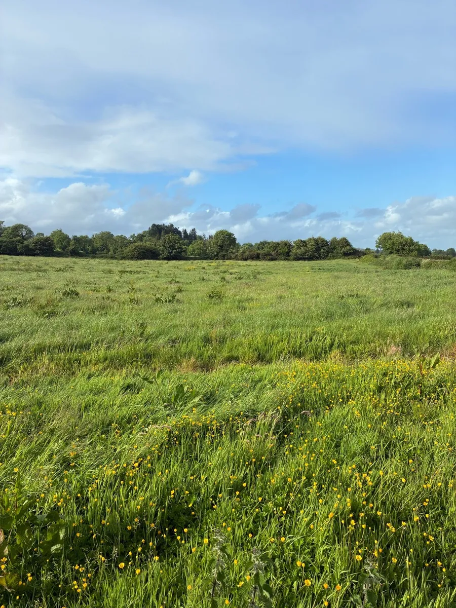 Silage Ground Meadows - Image 2