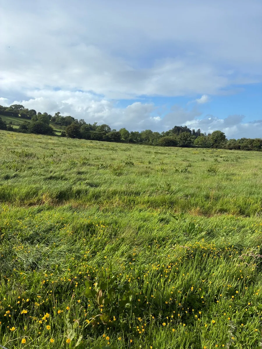 Silage Ground Meadows - Image 3