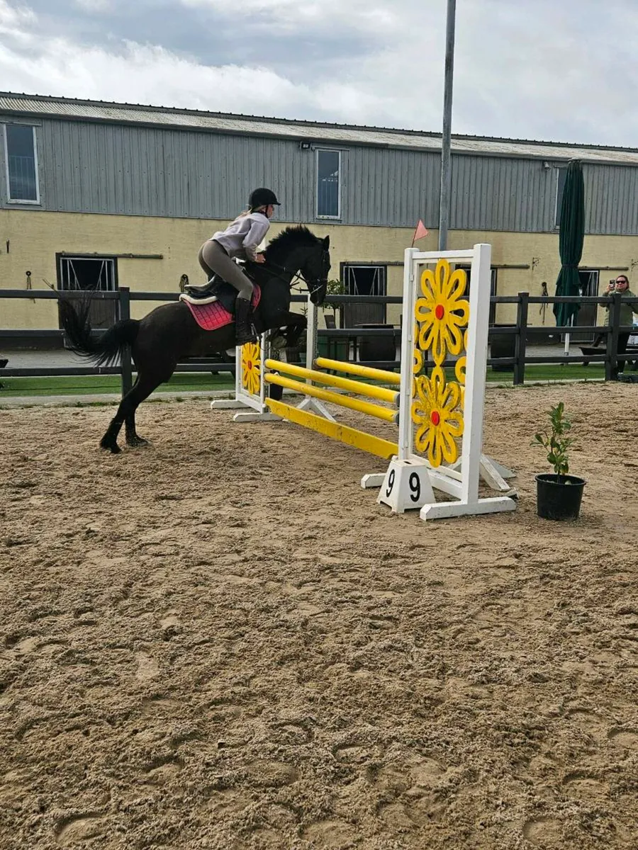 Perfect child's competition pony - Image 2