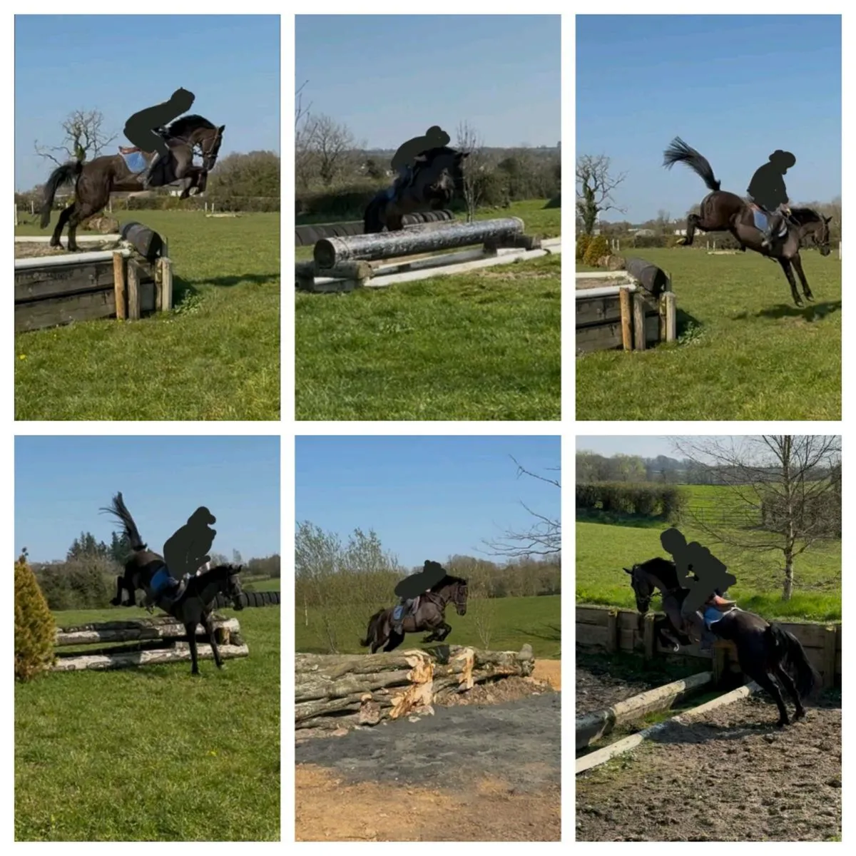 Perfect child's competition pony - Image 1