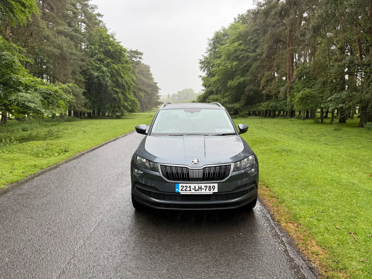 Skoda Karoq 2022 2.0 TDI Commercial - Image 2