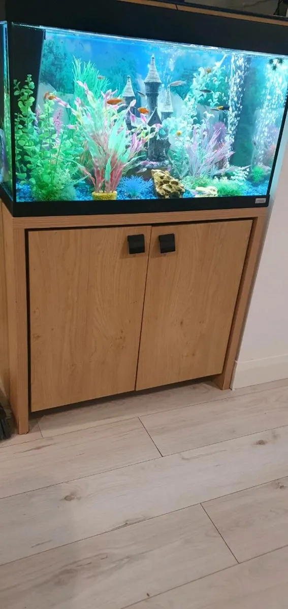 Aquarium +cabinet - Image 3