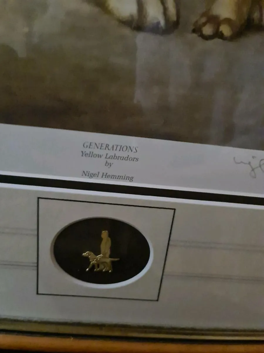 Limited edition pictures - Image 4