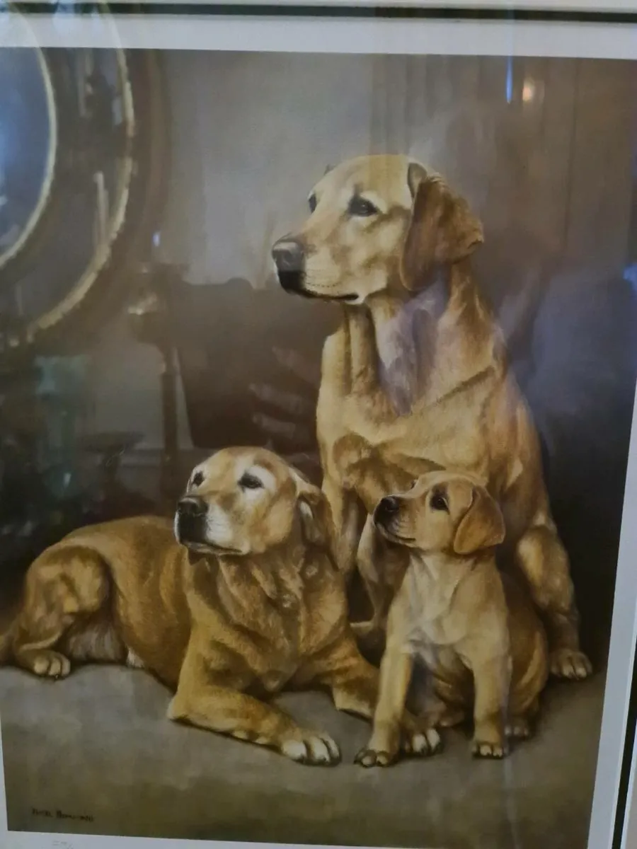 Limited edition pictures - Image 3