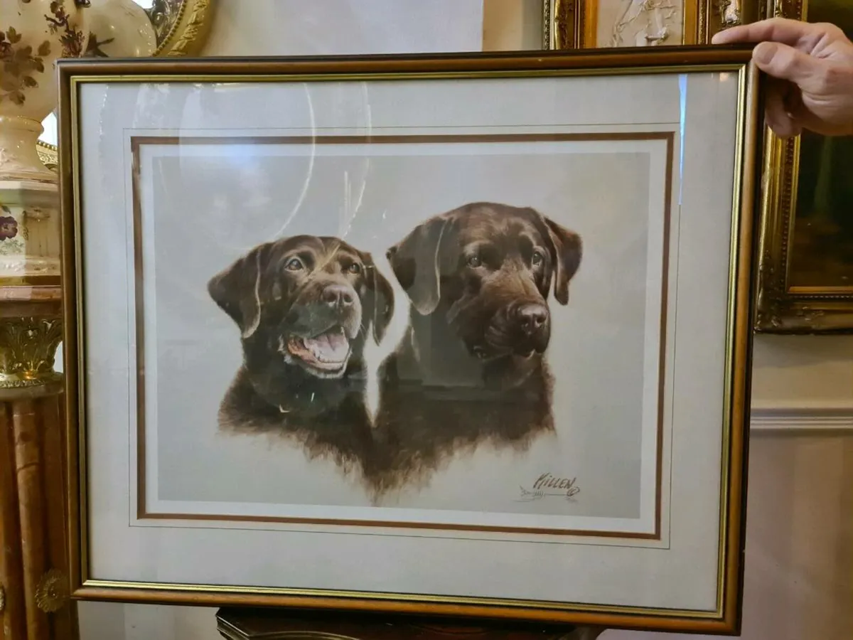 Limited edition pictures - Image 1