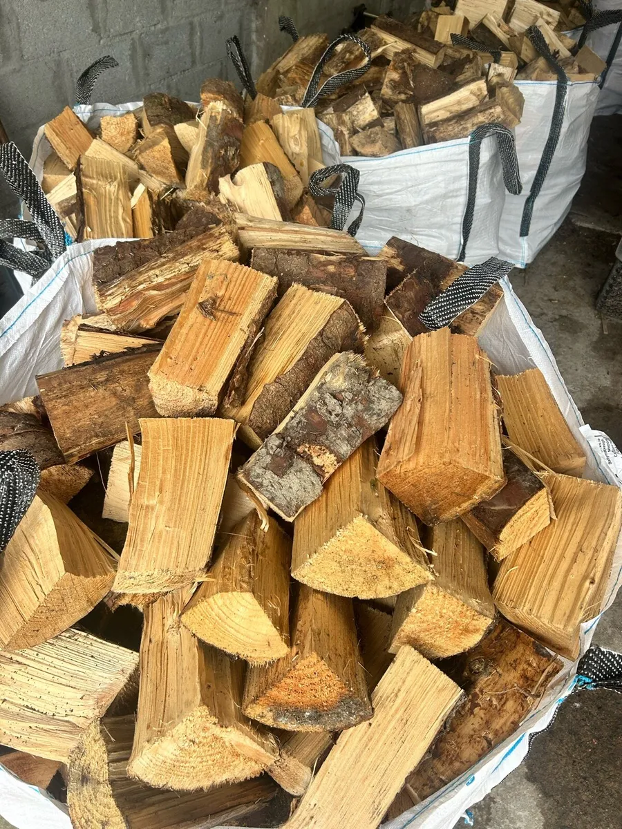 Seasoned firewood - Image 2
