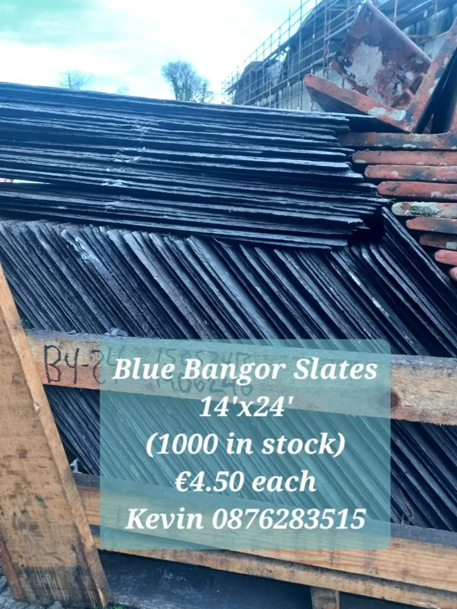 Blue Bsngor Slates - Image 1