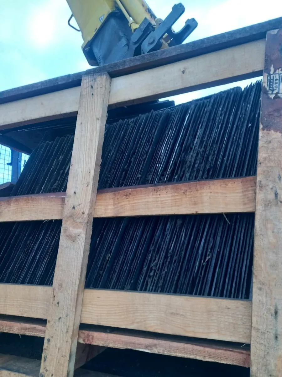 Blue Bsngor Slates - Image 2