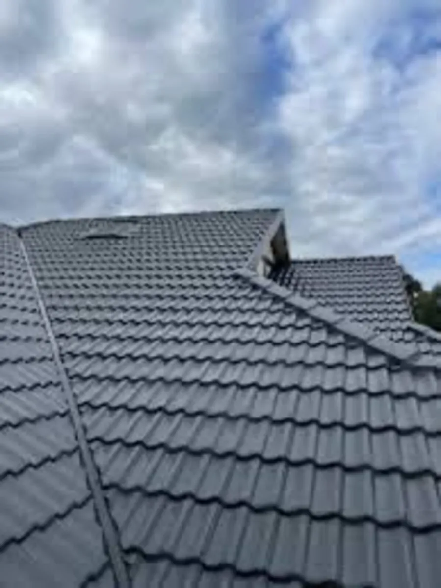 Roof/driveway paint - Image 3