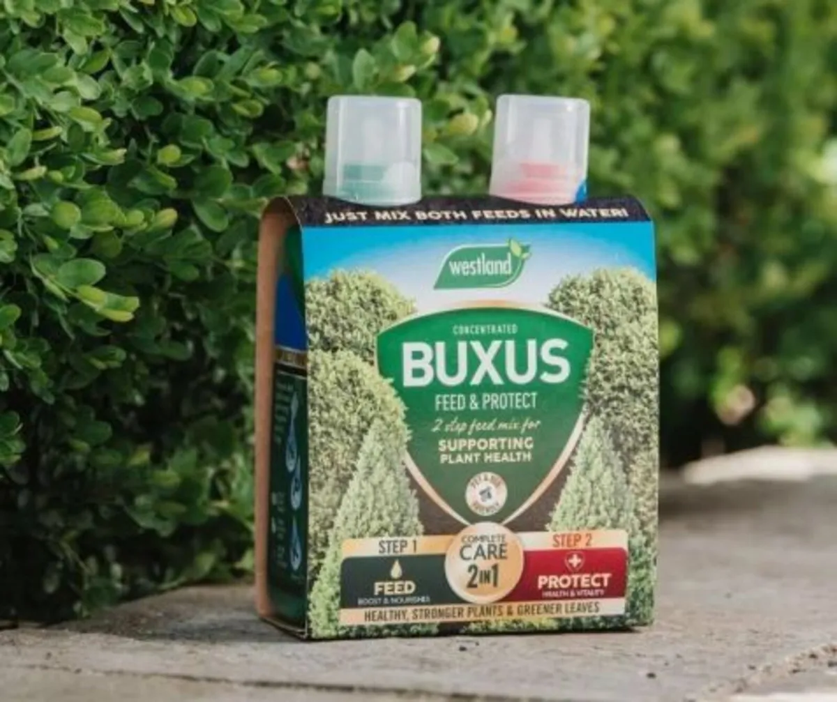 Buxus 2 in 1 Feed & Protect