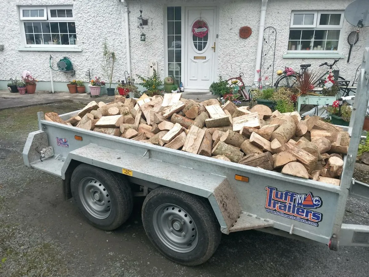 Trailer loads of hardwood ash - Image 1