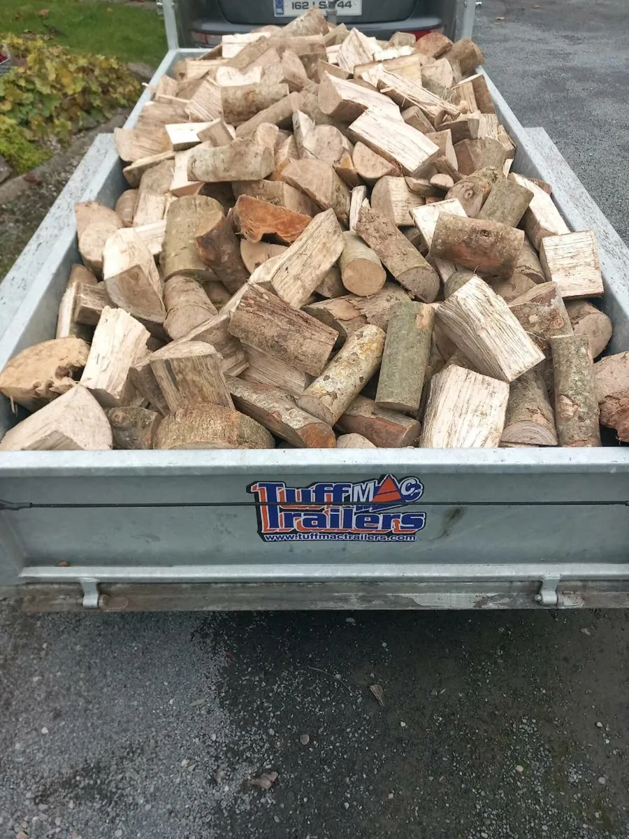 Trailer loads of hardwood ash - Image 2