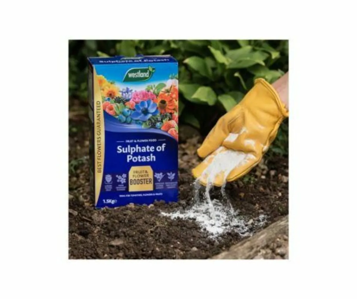 Sulphate of Potash - Image 1