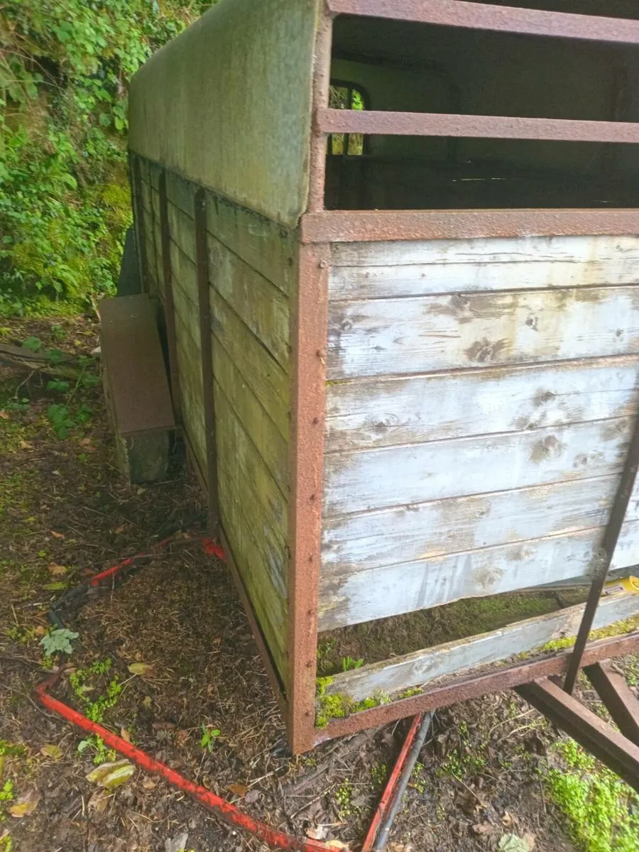 Cattle trailer for sale - Image 2