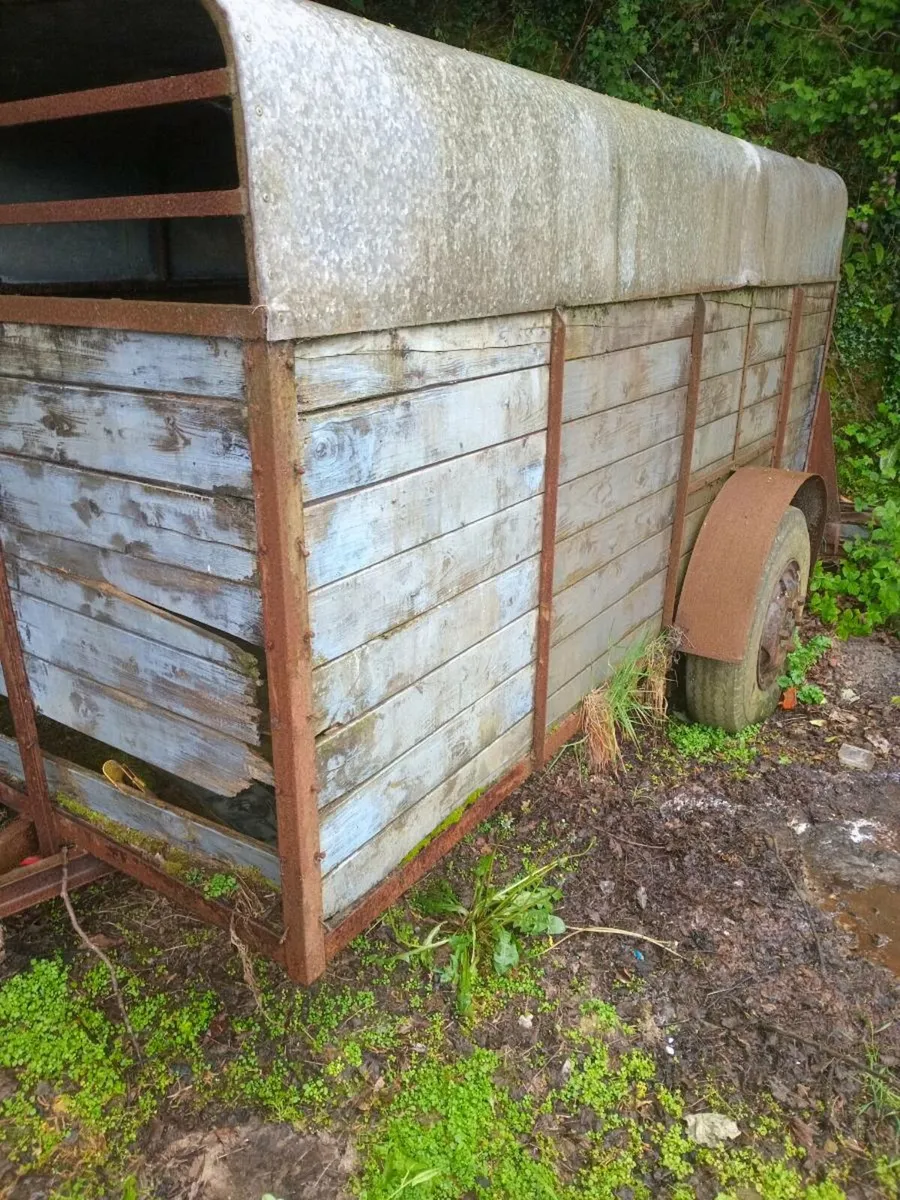 Cattle trailer for sale - Image 3