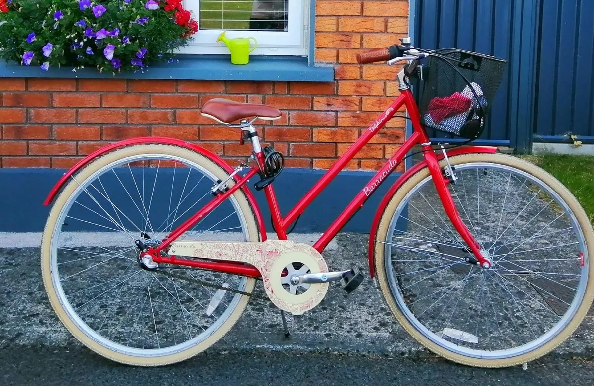 Ladies Vintage Style Town Bike