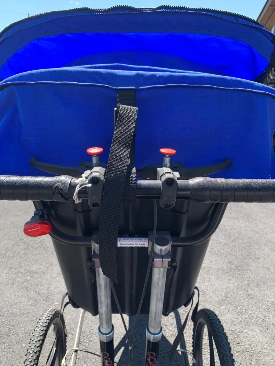 Special needs bike/buggy - Image 4