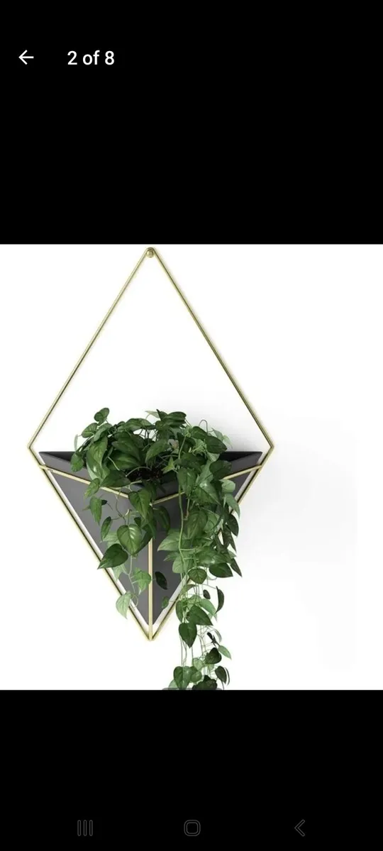 Red Teal Yellow Wall planter XL - Image 2