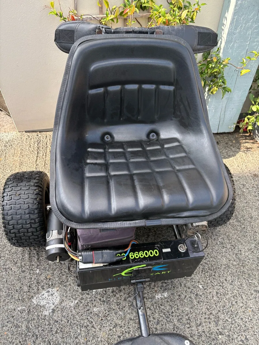 Golf buggy - Image 3
