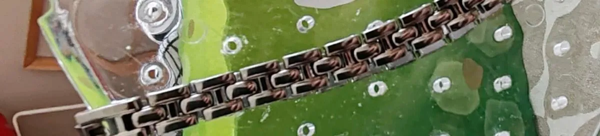 Retro silverstone bracelet - Image 4