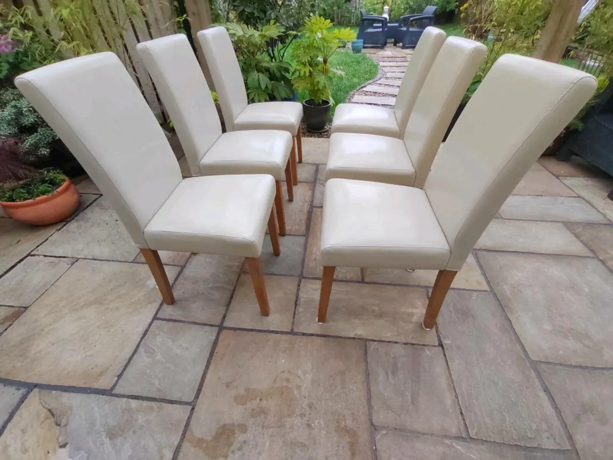 6 kitchen dining chairs - Image 1