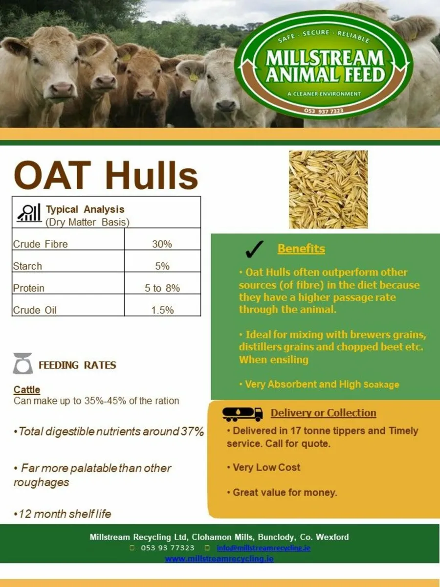 Oathulls - Image 2
