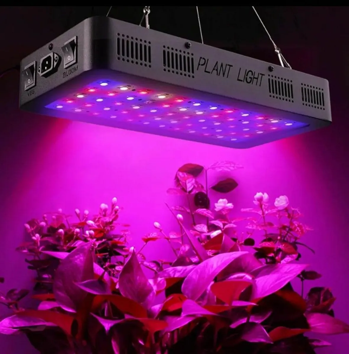 LED Grow Light Bloom Veg Full spectrum 900W +Timer - Image 1
