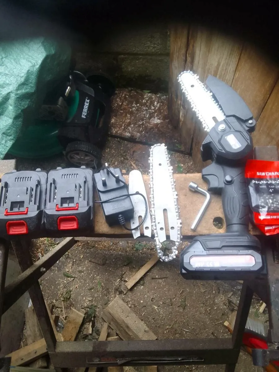 Chainsaw - Image 2