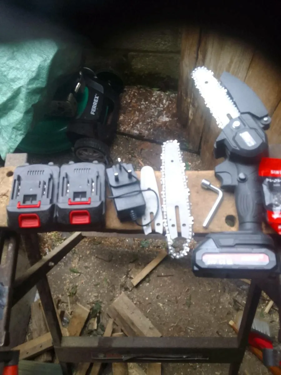 Chainsaw - Image 3